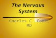 The Nervous System Charles C. Cook, MD Divisions of the Nervous System