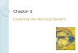 Chapter 2 Exploring the Nervous System. Anatomical Views Horizontal section - Shows structures viewed from above Sagittal section - Divides structures