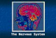 The Nervous System. I. Introduction The basic functional unit of the nervous system is the neuron Neuron  Specialized cell that transmits information