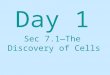 Day 1 Sec 7.1—The Discovery of Cells OBJECTIVE □ To understand the parts and use of a microscope. □ To practice using the microscope