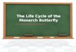 The Life Cycle of the Monarch Butterfly http:// 