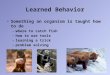 Learned Behavior Something an organism is taught how to do – where to catch fish – how to use tools – learning a trick – problem solving
