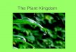 The Plant Kingdom. Key Characteristics of Plants Multicellular Cell specialization Photosynthetic autotrophs Sessile Alternation of Generations –Sporophyte