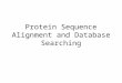 Protein Sequence Alignment and Database Searching