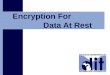 Click to add text Encryption For Data At Rest. State of Michigan Department of Information Technology 2 From Vision to Action 2 Why is data-at-rest encryption