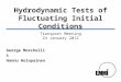 Hydrodynamic Tests of Fluctuating Initial Conditions George Moschelli & Hannu Holopainen Transport Meeting 24 January 2012