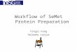 Workflow of SeMet Protein Preparation Yingyi Fang Haleema Janjua