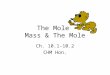 The Mole Mass & The Mole Ch. 10.1-10.2 CHM Hon.. How do you measure matter? Measure the amount by: –Counting –Mass –Volume
