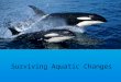 Surviving Aquatic Changes. I. Effects of Salinity on Ocean Life A. Osmoregulation - ability of aquatic organisms to maintain a proper water balance within