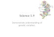 Science 1.9 Demonstrate understanding of genetic variation