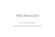 FACE AND SCALP Dr. Lubna Nazli Associate Professor Anatomy