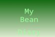 My Bean Diary. First we got a pot. Then we filled it with soil. Next we planted our bean. Then we watered it