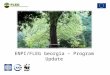 ENPI/FLEG Georgia – Program Update. ENPI/FLEG Georgia Implementing Organizations: in partnership with the NPAC and other key stakeholders World Bank IUCN