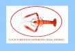 The Loch Torridon Nephrops creel fishery came into being following the creation of a static gear only fishery by statutory instrument in May 2001