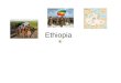Ethiopia The map of Ethiopia The capital of Ethiopia Addis Ababa