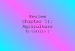 Review Chapter 11: Agriculture By Caitlin S. What is Agriculture? Agriculture: The purposeful tending of crops and livestock in order to produce food