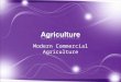 Modern Commercial Agriculture. Third Agricultural Revolution began in 19 th century North America –Saw the globalization of industrialized agriculture