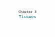 Chapter 3 Tissues. 2 Introduction: A.Cells are arranged in tissues that provide specific functions for the body. B.Cells of different tissues are structured