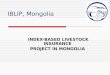 IBLIP, Mongolia INDEX-BASED LIVESTOCK INSURANCE PROJECT IN MONGOLIA
