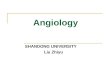 Angiology SHANDONG UNIVERSITY Liu Zhiyu. Angiology Composition Cardiovascular system Lymphatic system