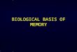 BIOLOGICAL BASIS OF MEMORY. Biological Basis of Memory Believed that memory was localized – specific memory stored in a specific area. Removed parts of