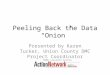 Peeling Back the Data “Onion” Presented by Karen Tucker, Union County DMC Project Coordinator