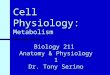 Cell Physiology: Metabolism Biology 211 Anatomy & Physiology 1 Dr. Tony Serino