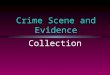 Crime Scene and Evidence Collection. Vocabulary to Know First responder Individual evidence Paper bindle Primary crime scene Secondary crime scene Trace