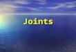 Joints. Different Kinds of Joints Your skeleton is made up of bones. Your skeleton is made up of bones. Joints are where the bones meet. Joints are where