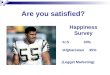 Are you satisfied? Happiness Survey U.S34% Afghanistan35% (Legget Marketing)