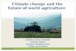 Climate change and the future of world agriculture MARTHA ANNE DEBERRY SYDNEY FOGLE RACHEL HIMMELSTEIN LEIGH SNELGROVE None Like it Hot