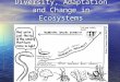 Diversity, Adaptation and Change in Ecosystems. Biodiversity and Classification Scientists estimate that there are between 2 and 4.5 million different