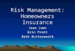 Risk Management: Homeowners Insurance Jean Lown Erin Pratt Beth Butterworth
