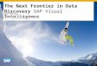 The Next Frontier in Data Discovery SAP Visual Intelligence Bob Ferris Executive Solution Engineer