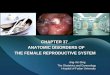 CHAPTER 37 ANATOMIC DISORDERS OF ANATOMIC DISORDERS OF THE FEMALE REPRODUCTIVE SYSTEM Jing-Xin Ding The Obstetrics and Gynecology Hospital of Fudan University