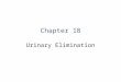 Chapter 18 Urinary Elimination. Patient-Centered Care Urinary elimination may be compromised by a wide variety of illnesses and conditions. Provide assistance
