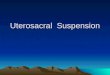 Uterosacral Suspension. Educational Objectives This lecture will enable the participant to list and discuss the indications and complications of uterosacral