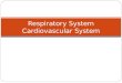 Respiratory System Cardiovascular System. The Respiratory System