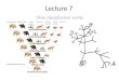 Lecture 7 How classification works 