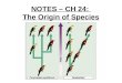 NOTES – CH 24: The Origin of Species. Hummingbirds of Costa Rica Species