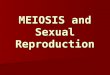 MEIOSIS and Sexual Reproduction Cell Division Simplified…