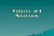 Meiosis and Mutations. Remember:  Mitosis - takes place in regular body cells (somatic cells) and you end up with 2 identical diploid (2n) cells where