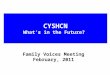 CYSHCN What’s in the Future? Family Voices Meeting February, 2011