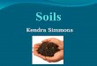 Kendra Simmons. What is soil? Foundation for all land Biomes