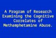 A Program of Research Examining the Cognitive Correlates of Methamphetamine Abuse