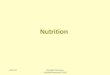 Nutrition 02/10/2015©Cardiff University /SONMS/Nutrition/CSAN