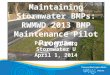 Maintaining Stormwater BMPs: RWMWD 2013 BMP Maintenance Pilot Program Paige Ahlborg Stormwater U April 1, 2014