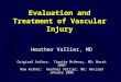 Evaluation and Treatment of Vascular Injury Heather Vallier, MD Original Author: Timothy McHenry, MD; March 2004 New Author: Heather Vallier, MD; Revised