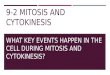 9-2 MITOSIS AND CYTOKINESIS WHAT KEY EVENTS HAPPEN IN THE CELL DURING MITOSIS AND CYTOKINESIS?