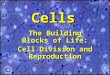 Cells The Building Blocks of Life: Cell Division and Reproduction